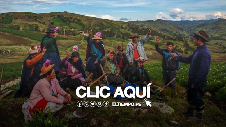 Fertiabono 2023: LINK de consulta con DNI, requisitos y montos en Perú