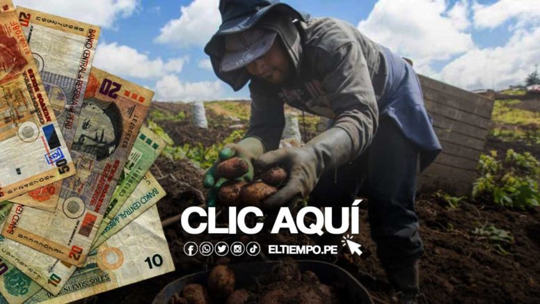 Nuevo Bono 800 soles del Midagri: ¿hay un LINK de consulta con DNI en enero del 2023?