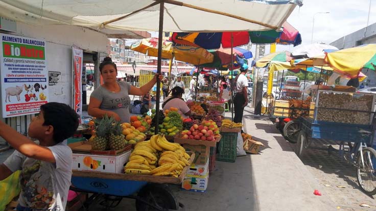 abastecimiento de productos básicos