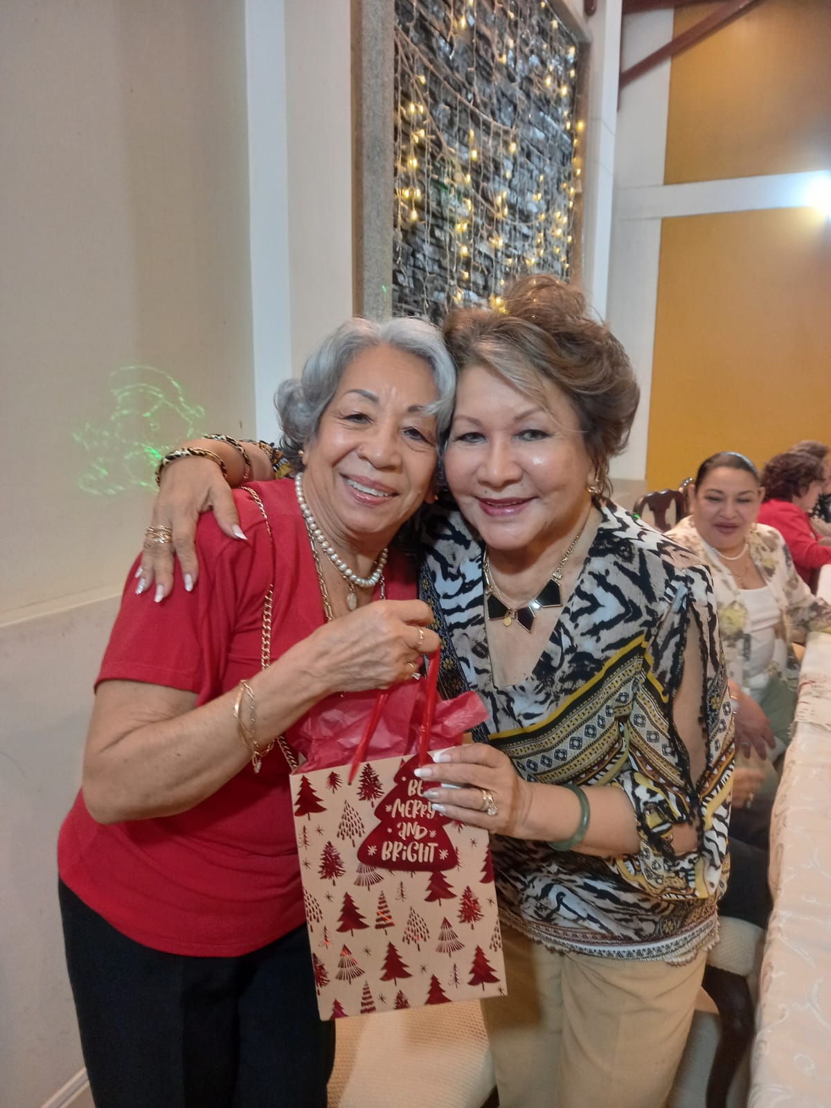 Silvia Gallo y Pola Chong Shing.