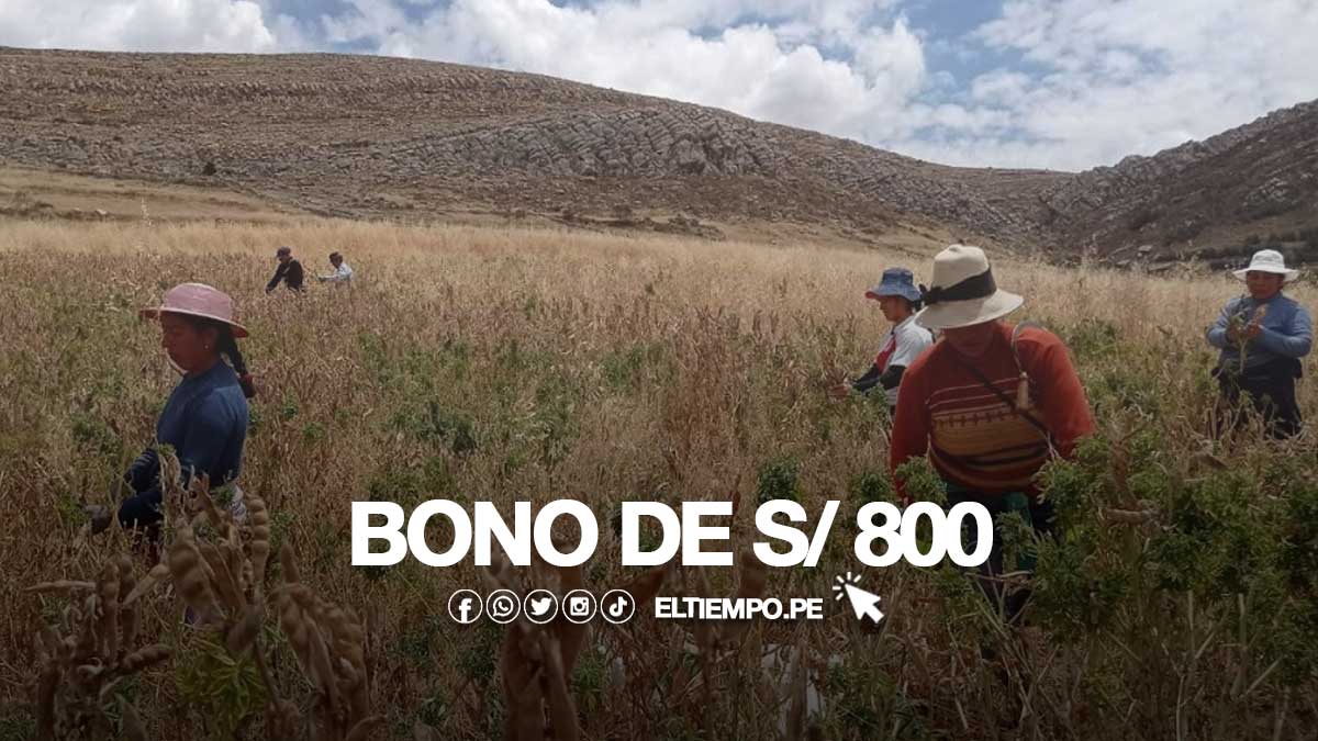 Bono de 800 soles 2023 ¿En qué banco cobrar el nuevo bono 800 soles