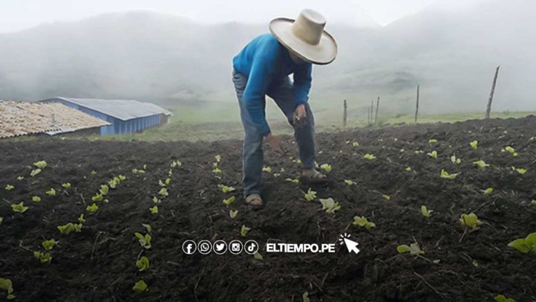 Bono sequía: beneficiarios podrán cobrar hasta el 31 de marzo