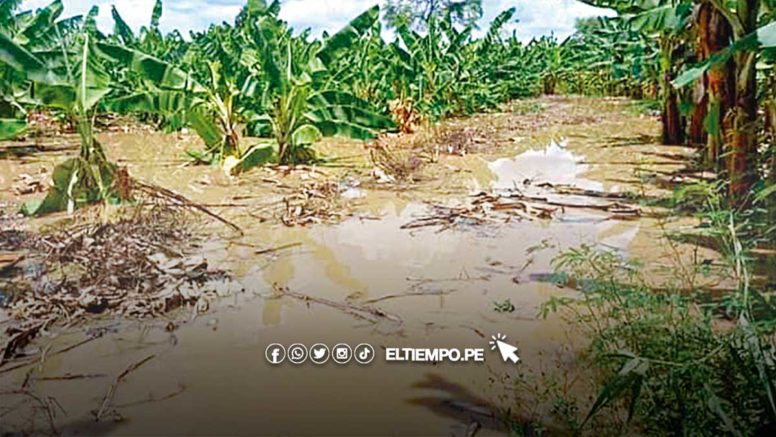Luvias y desbordes en el país afectarán el crecimiento económico de este año