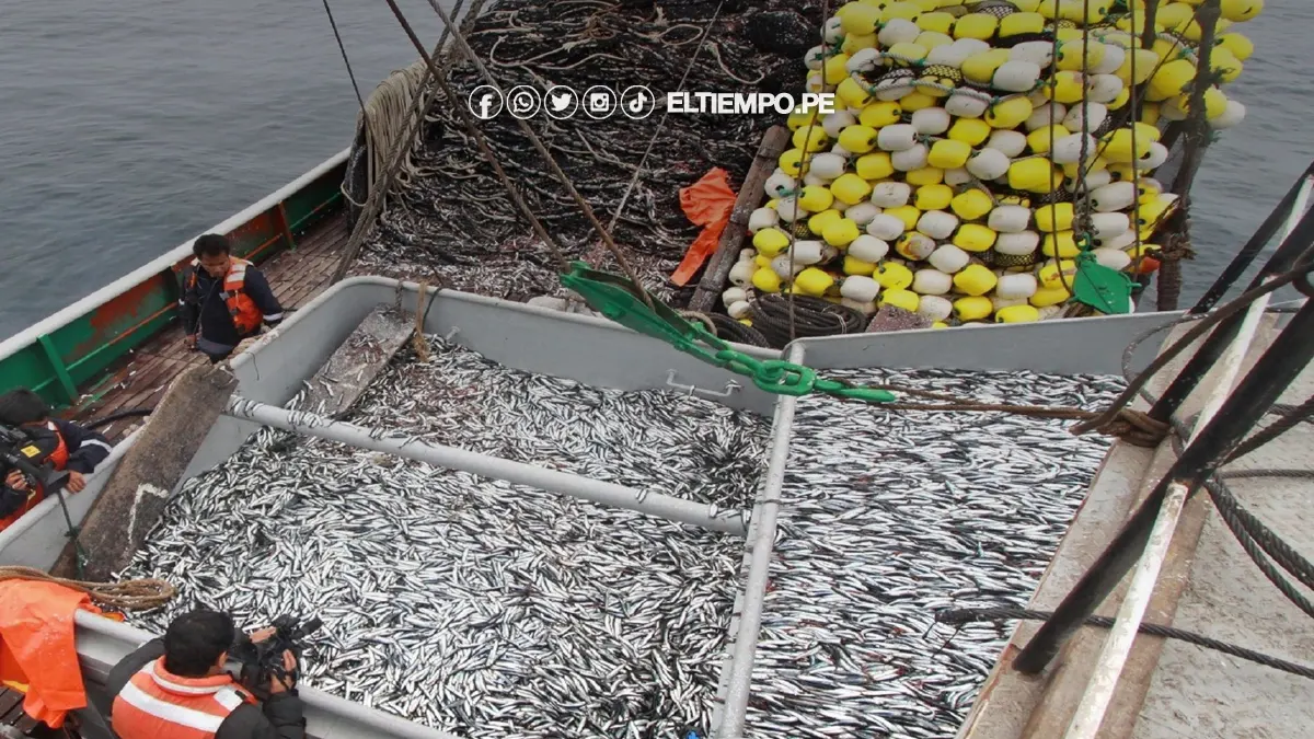 Autorización de pesca de anchoveta generará 20 mil puestos laborales en Piura