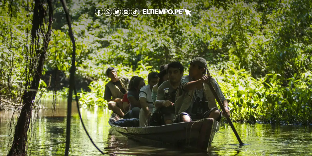 Editorial: Cuidemos la selva ante el asedio del Congreso