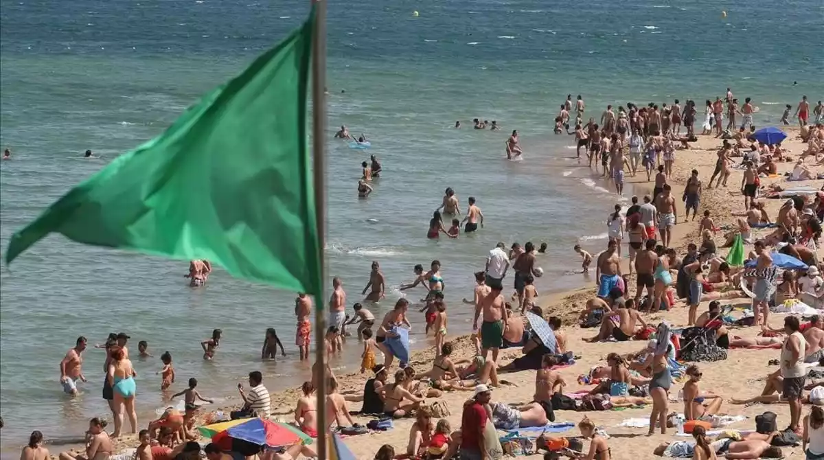 Bandera verde en playa, conoce su significado