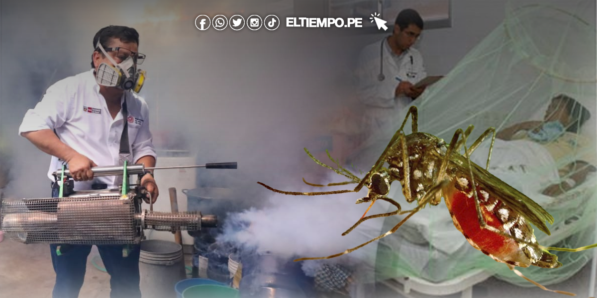 Dengue en Piura: más de 1600 casos confirmados y 5 fallecidos