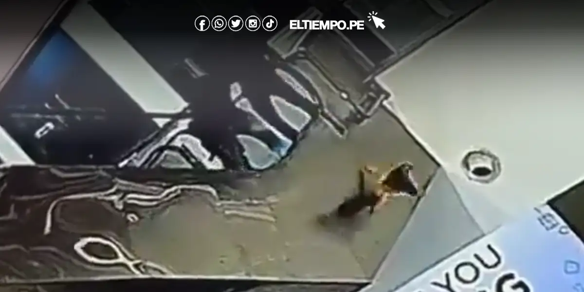 India: Padre deja caer a su hijo desde el último piso de un centro comercial [VIDEO]