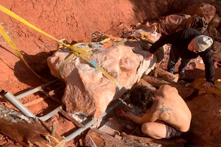 El descubrimiento de un esqueleto de dinosaurio casi completo en Francia