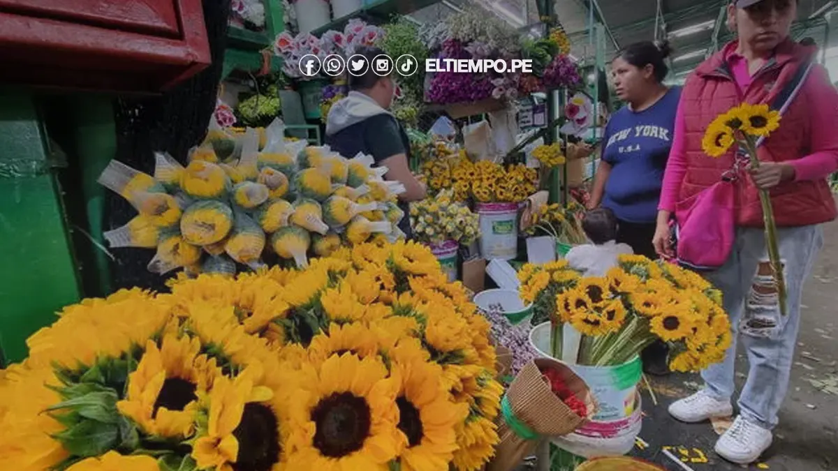 Precios de flores amarillas en Perú 2024: Conoce cuánto cuestan los detalles para este día