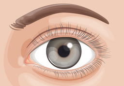 CORNEAL INFECTIONS