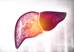 SGLT Inhibitor Drug for Treating Liver Diseases