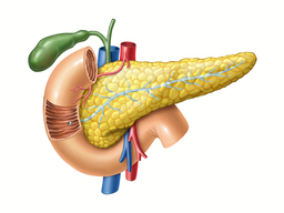 New Oral Drug Strategy for Targeting Pancreas