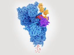 Small-Molecule Inhibitors of DCN1