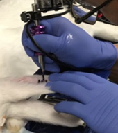 ULTRASOUND ULTRASOUND
