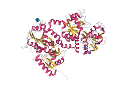 Lactoferrin Inhibition of SARS-CoV-2 Viral Entry and Immunomodulatory Suppression of IL-6