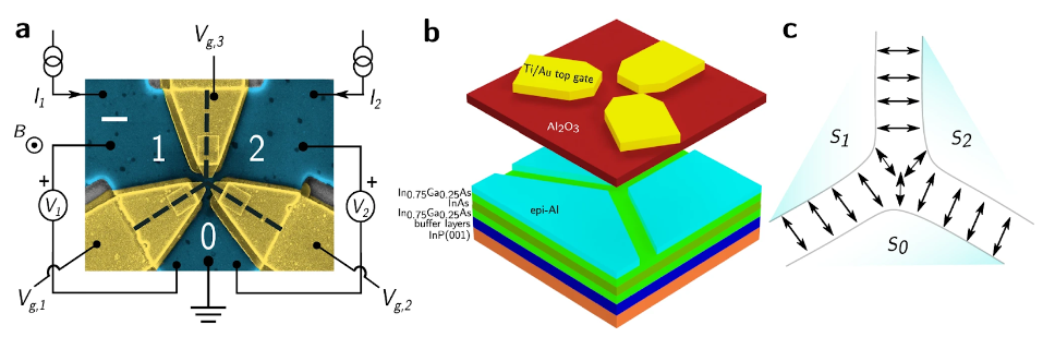 Scanning electron microscope image and schematics of a three terminal Josephson device with individually tunable gates