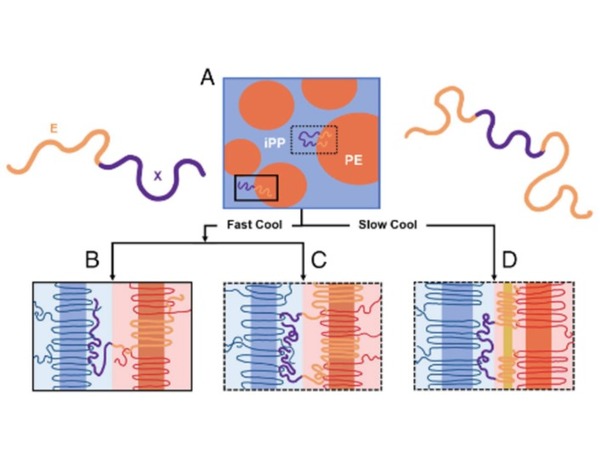 Schematic illustration of proposed mechanisms for block copolymer