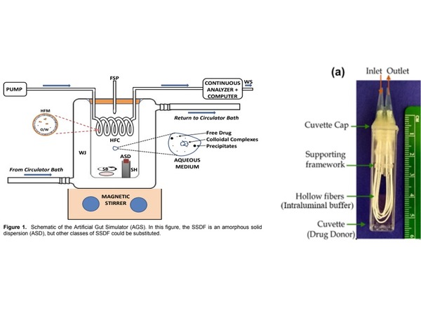 Schematic and image of Artificial Gut Simulator