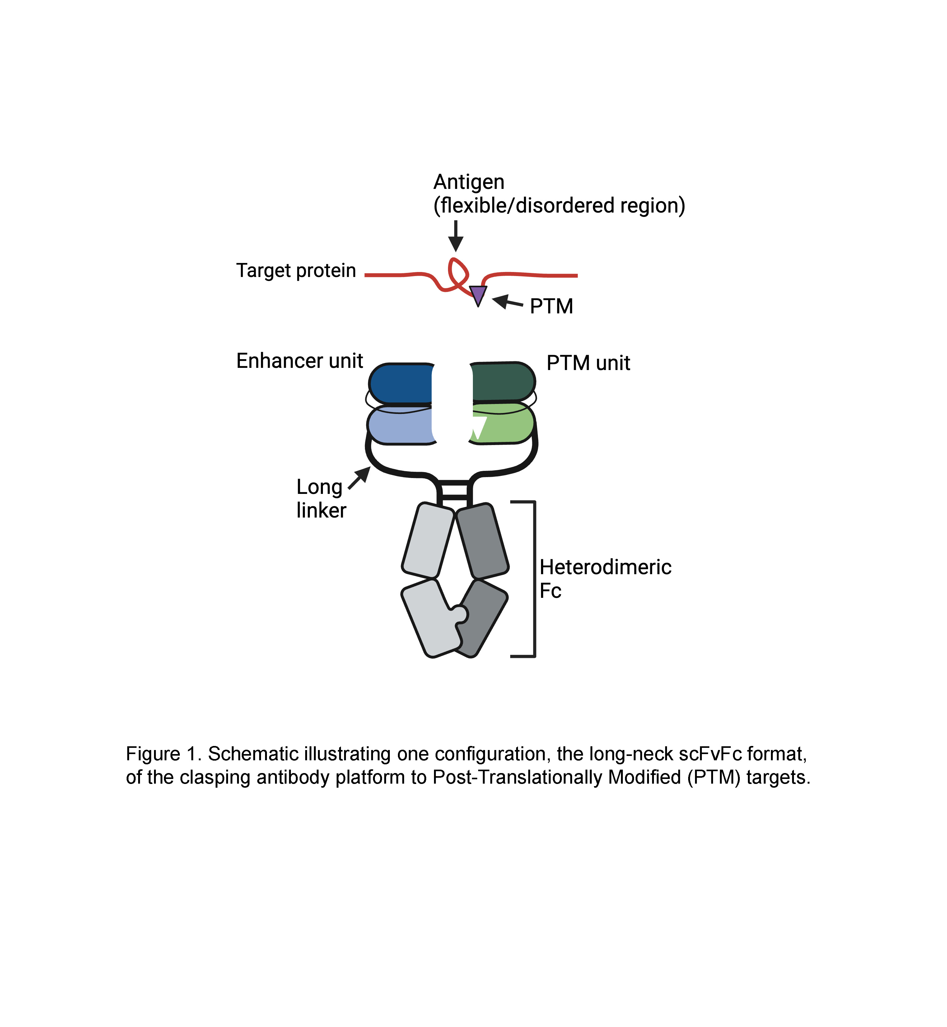 Figure 1 Figure 1