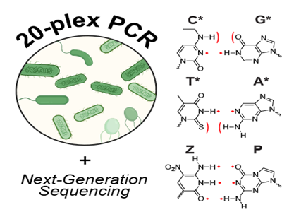 Highly Sensitive Multiplex Detection of Microbial Threats Using Non-Standard Nucleic Acids
