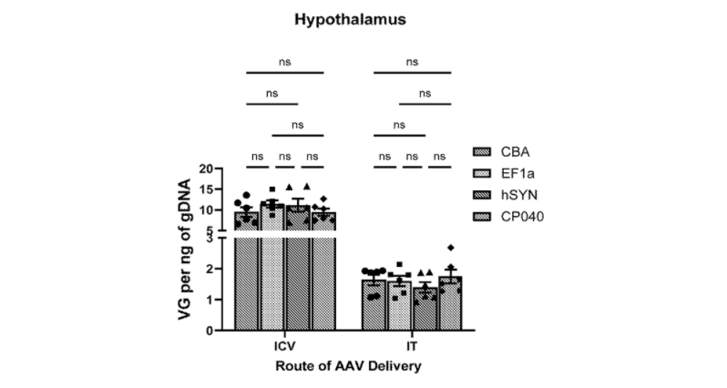 The minipromoter (CP040) exhibits comparable in vivo efficiency to longer, ubiquitous promoters The minipromoter (CP040) exhibits comparable in vivo efficiency to longer, ubiquitous promoters