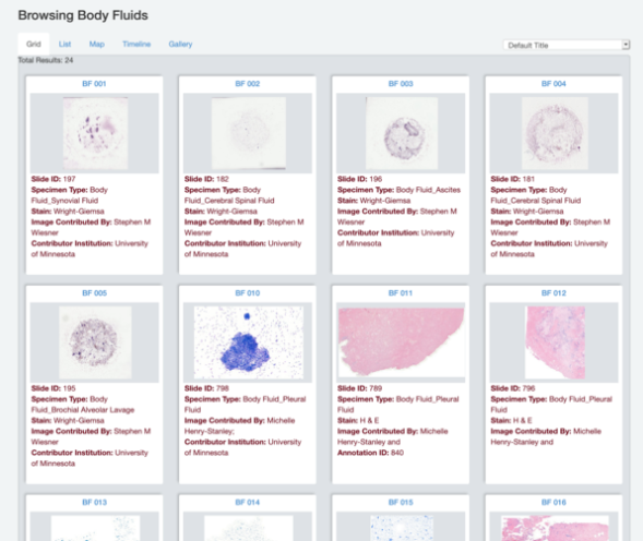 Digital Pathology Virtual Microscope Slides with Online Database (20110025, Dr. Stephen Wiesner)