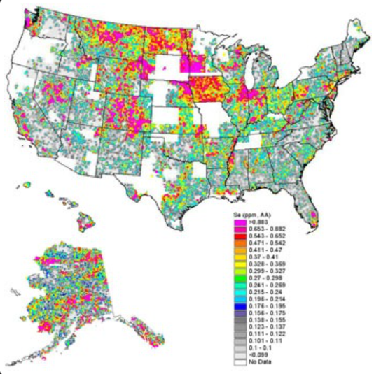 Thermodynamic Database Population Software (DBCreate) (20120324, Dr. Martin Saar)