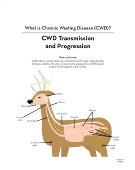 CWD book