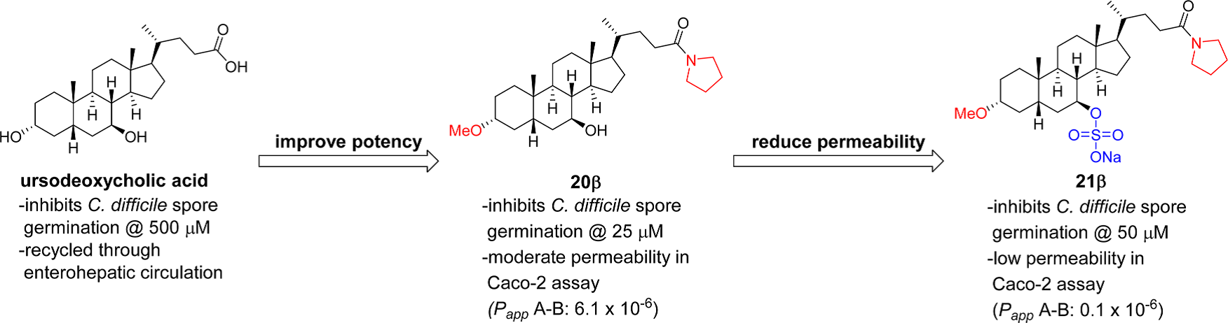 holic and bile acid derivatives inhibit Clostridium difficile spore germination Inhibiting C. difficile spore germination