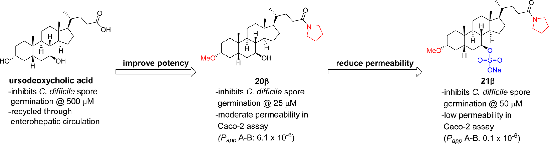 Inhibiting C. difficile spore germination