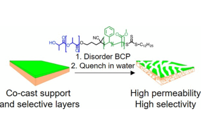 Co-Casting Highly Selective Dual-Layer Membranes with Disordered Block Polymer Selective Layers