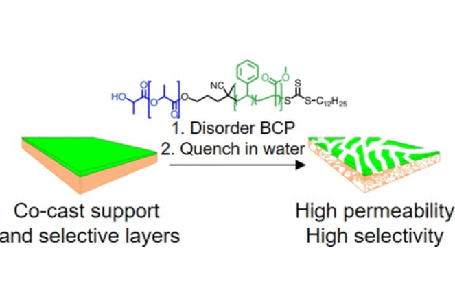 Co-Casting Highly Selective Dual-Layer Membranes with Disordered Block Polymer Selective Layers Co-Casting Highly Selective Dual-Layer Membranes with Disordered Block Polymer Selective Layers