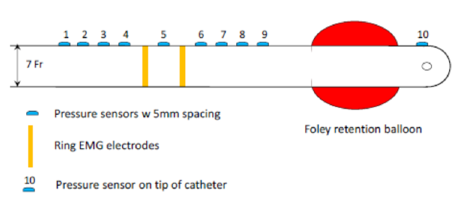 Multifunctional, flexible sensor array for urethral catheters