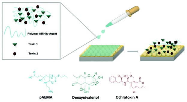Detection of toxic small molecules using polymers and Raman scattering