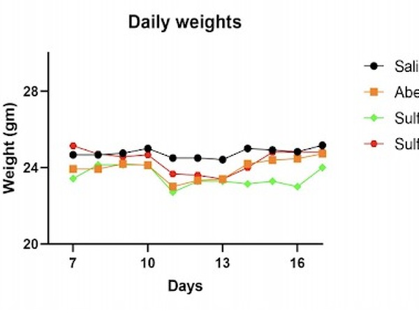 Daily Animal weights from Day 7 to Day 17 with treatment