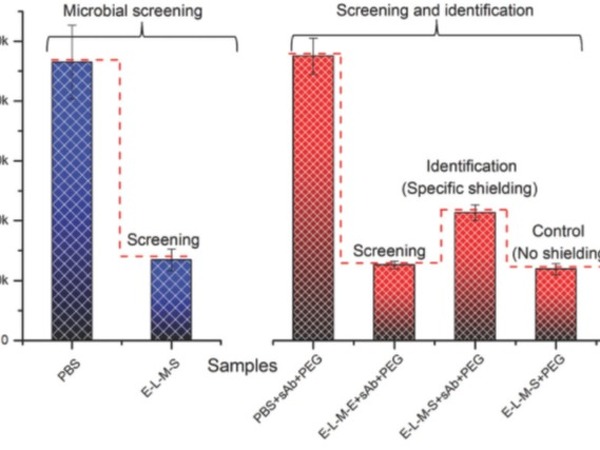 Gold Nanoplate-Enhanced Chemiluminescence and Macromolecular Shielding for Rapid Microbial Diagnostics