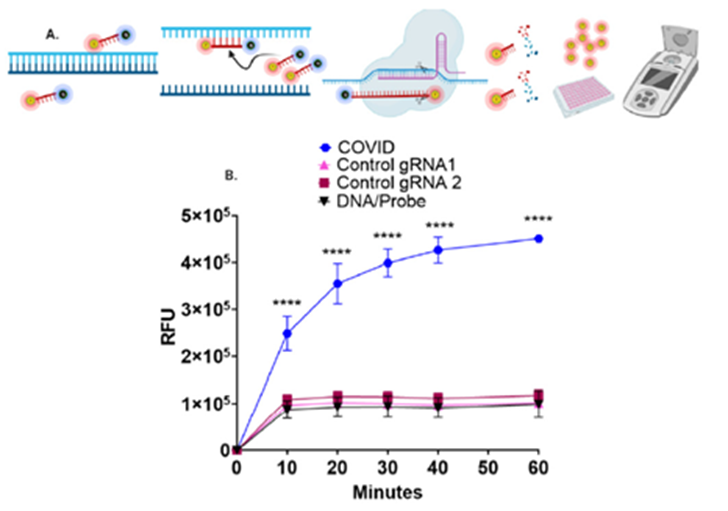 Lateral flow assay for respiratory viruses