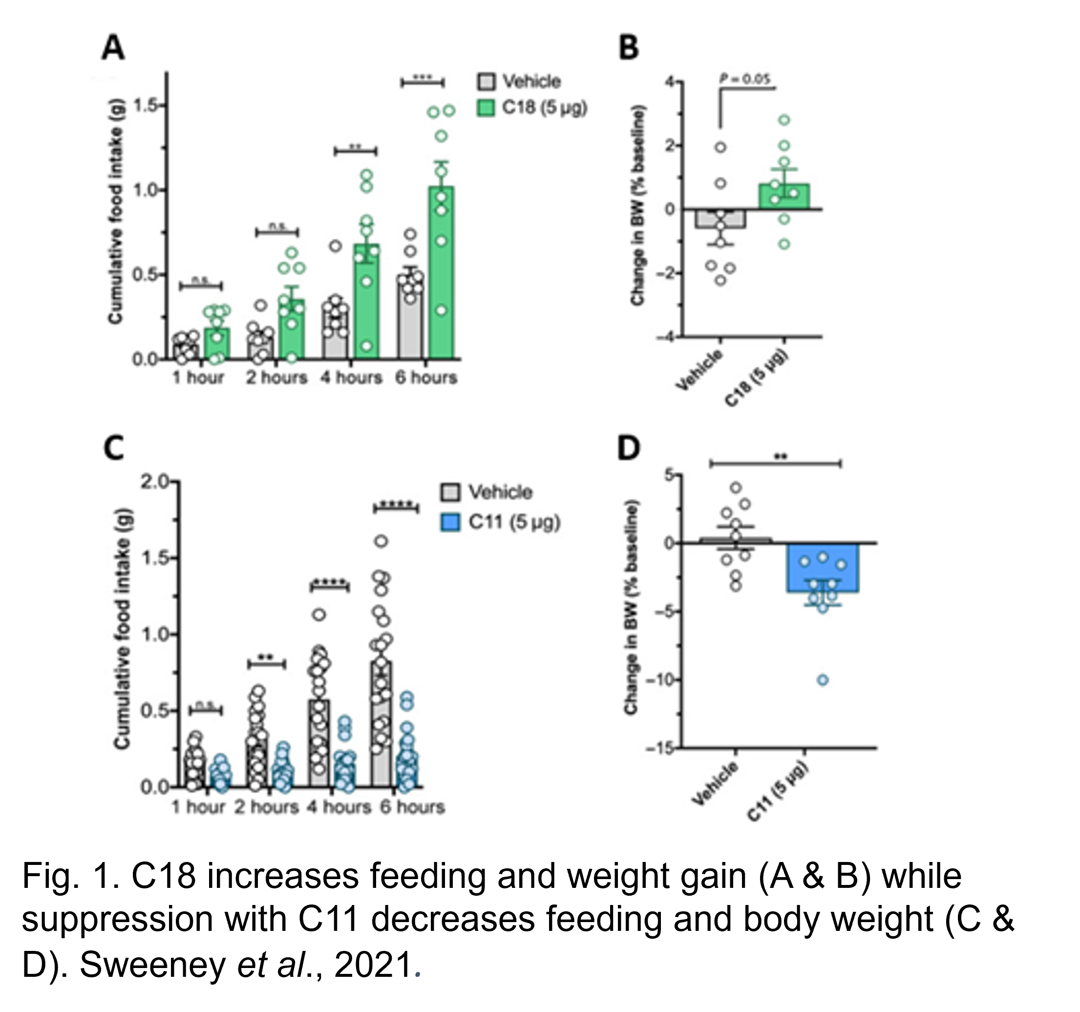 C18 increases feeding and weight gain (A & B) while suppression with C11 decreases feeding and body weight (C & D) C18 increases feeding and weight gain (A & B) while suppression with C11 decreases feeding and body weight (C & D)