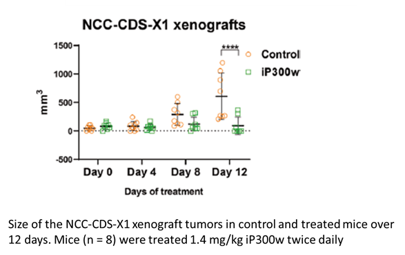 Size of the NCC-CDS-X1 xenograft tumors in control and treated mice over 12 days