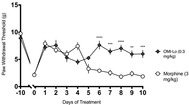 Once daily therapeutic doses of the oxymorphindole-loperamide combination does not result in analgesic tolerance unlike morphine