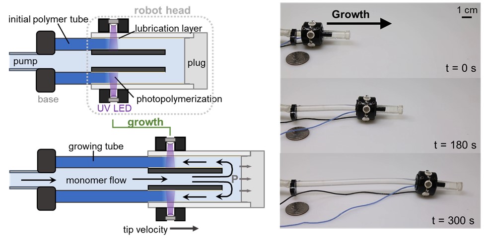 Growing soft robots