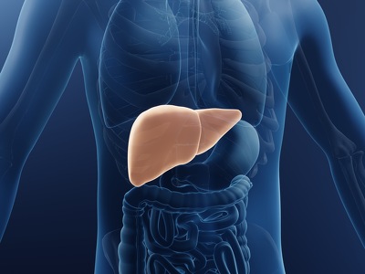 Netrin-1 and UNC5B as Novel Targets in Metabolic Liver Diseases:  NAFLD & NASH