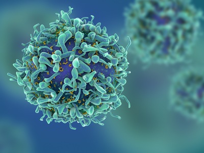 Steroid Modulators of Treg Lymphocytes and Pro-Inflammatory T Helper Cells For Autoimmune Disease