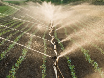 IMDSE: Simplifying Modernization Planning for Irrigation Systems