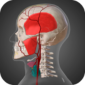 CHIIMERA™ 3D Anatomy Education Software