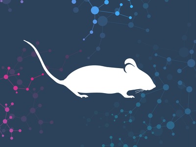 CD11c-DTR Transgenic Mice (B6.FVB-1700016L21RikTg [Itgax-DTR/EGFP] 57Lan/J; Jax stock number: 004509 )