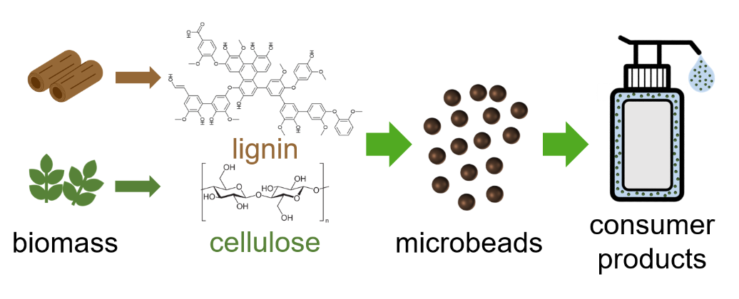 Biodegradable microbeads made from unmodified biomass for use in personal care products and cosmetics