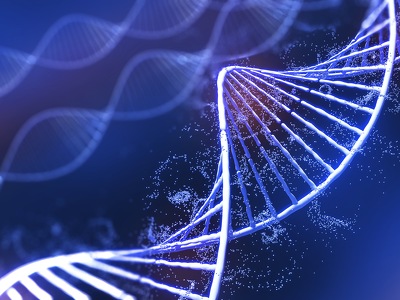 Transcription-Associated Cas9 Targeting in Eukaryotic Cells