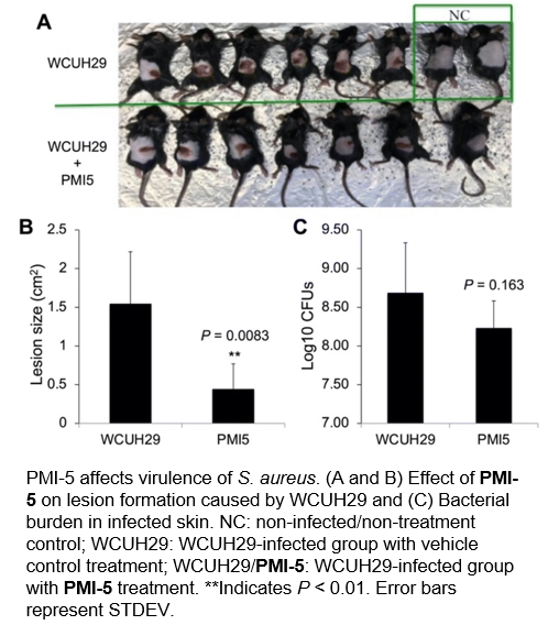 PMI-5 affects S. aureus virulence